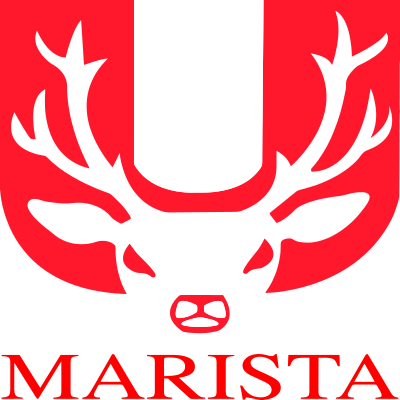 Universidad Marista