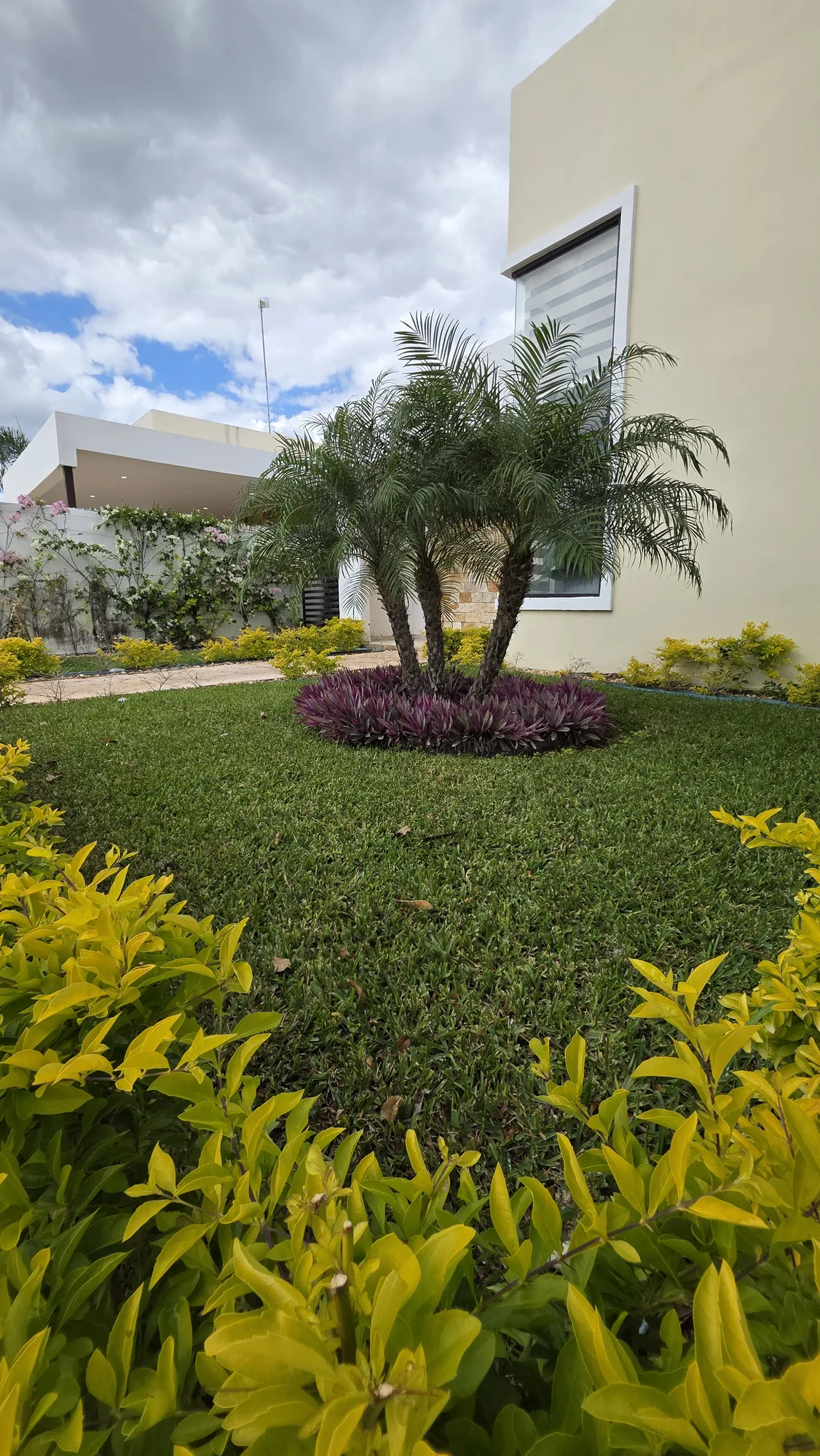 Casa Rocío — imagen 3